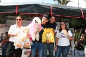 Ganador del 2° lugar, Kirára con el atuendo de mariposa.