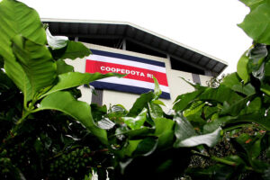 La cooperativa cafetera expone su modelo de negocios en la cuna del café.