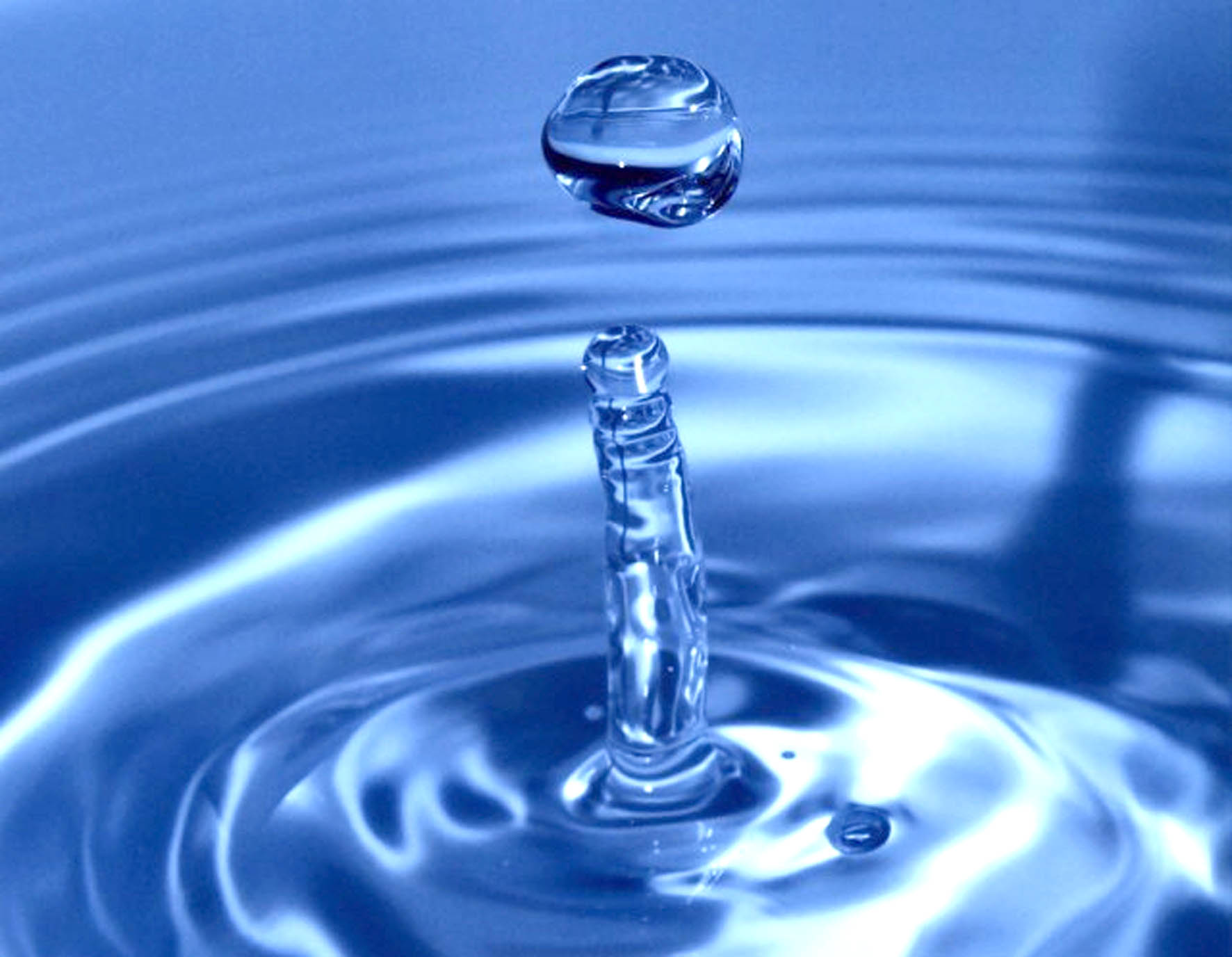 Ford Motor reconocida como líder global en esfuerzos de conservación del agua