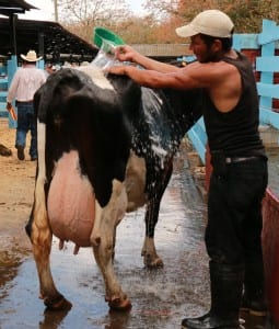 El parque Rancho Rojo, Camoapa fue la sede de la feria ganadera.