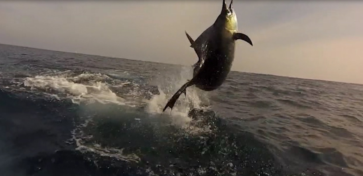 Costa Rica será sede del Campeonato Mundial de Pesca 2015