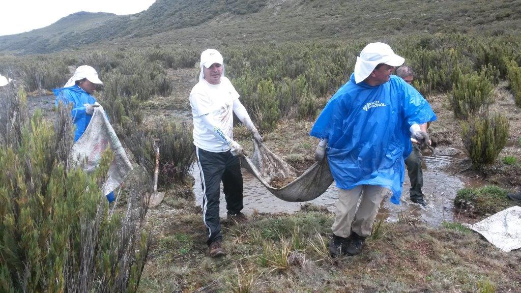 BN Voluntarios limpian y reconstruyen senderos del Chirripó