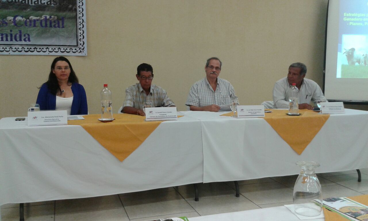 Proyectos ayudarán a mitigar las condiciones climáticas extremas en Guanacaste