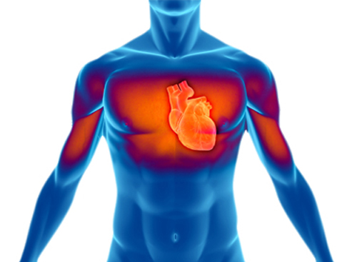 Evite complicaciones en la salud, revise su corazón y prevenga infartos