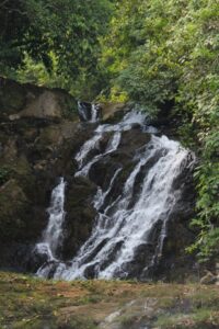 En el marco de su 20 aniversario la Red Costarricense de Reservas Naturales será la anfitriona del XI Congreso Latinoamericano de Reservas Privadas.