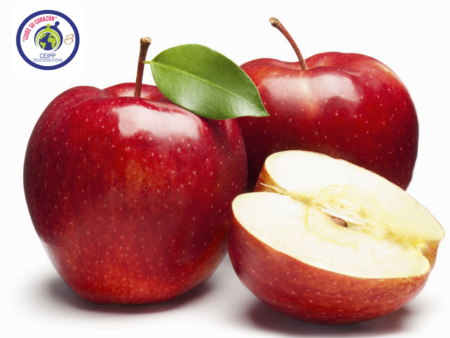 Comer una manzana al día es clave para evitar infartos y derrames cerebrales