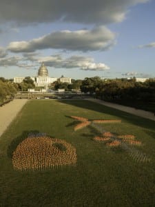 Se creó una ‘granja de viento’ con un molino gigantesco en Washington DC para celebrar la colaboración.