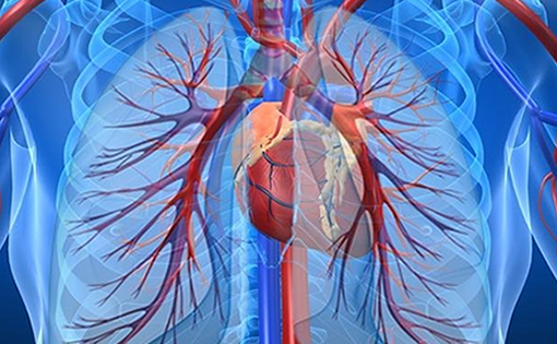 Medicamento ofrece esperanza de vida para los que padecen del corazón y pulmones