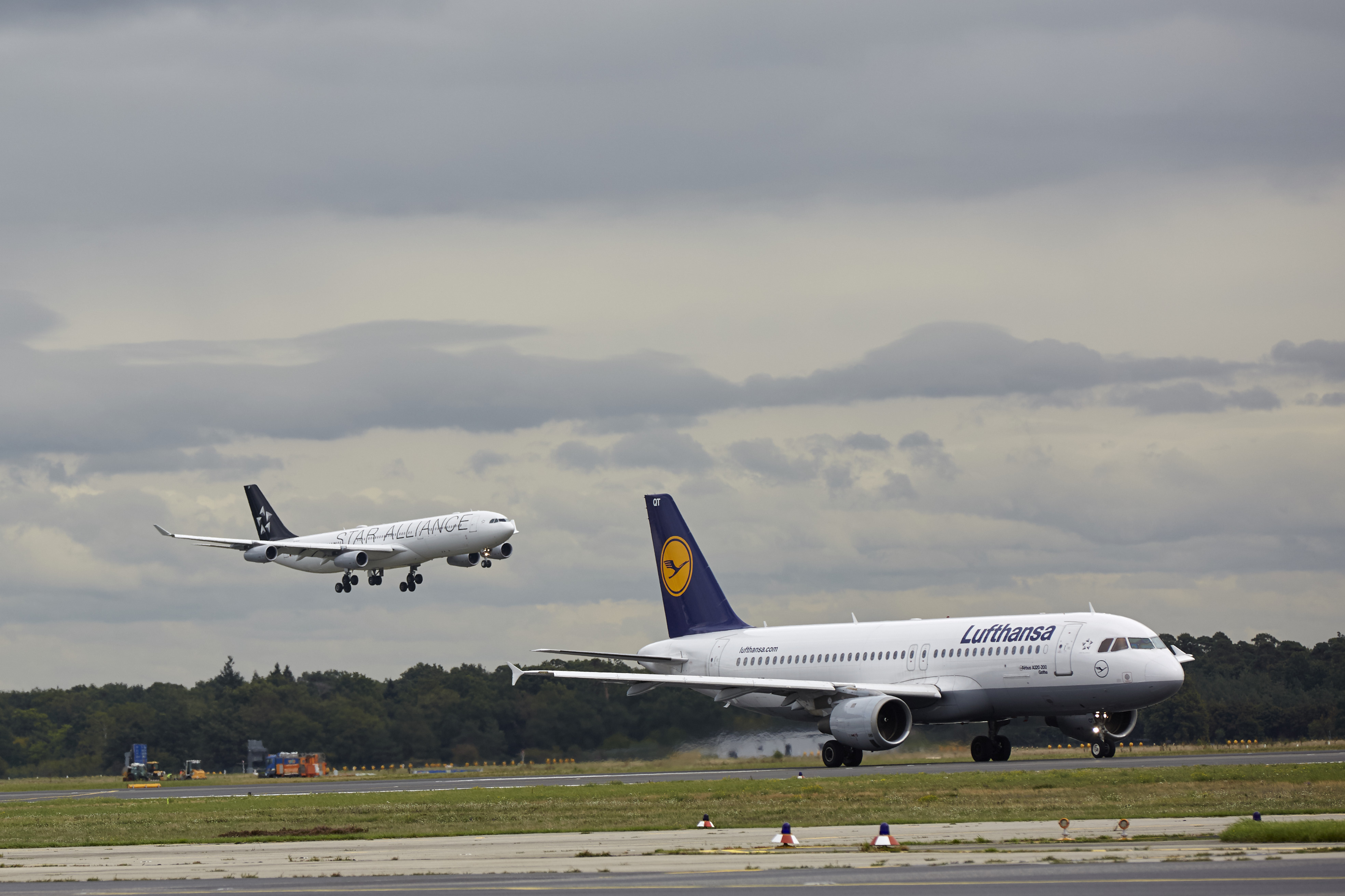 Lufthansa y Copa Airlines establecieron con éxito un acuerdo de codeshare