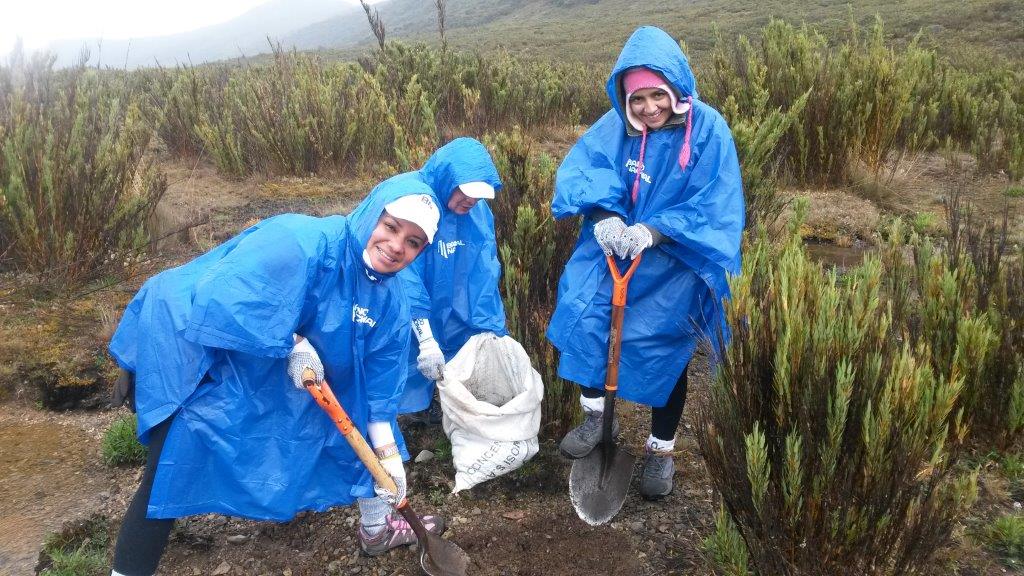 Programa BN Voluntario aporta más de 2.500 horas a Costa Rica