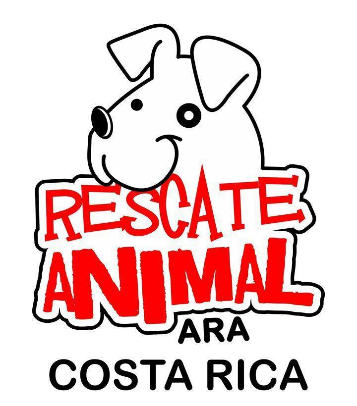 En el día del amor y la amistad ayude a la organización Rescate Animal