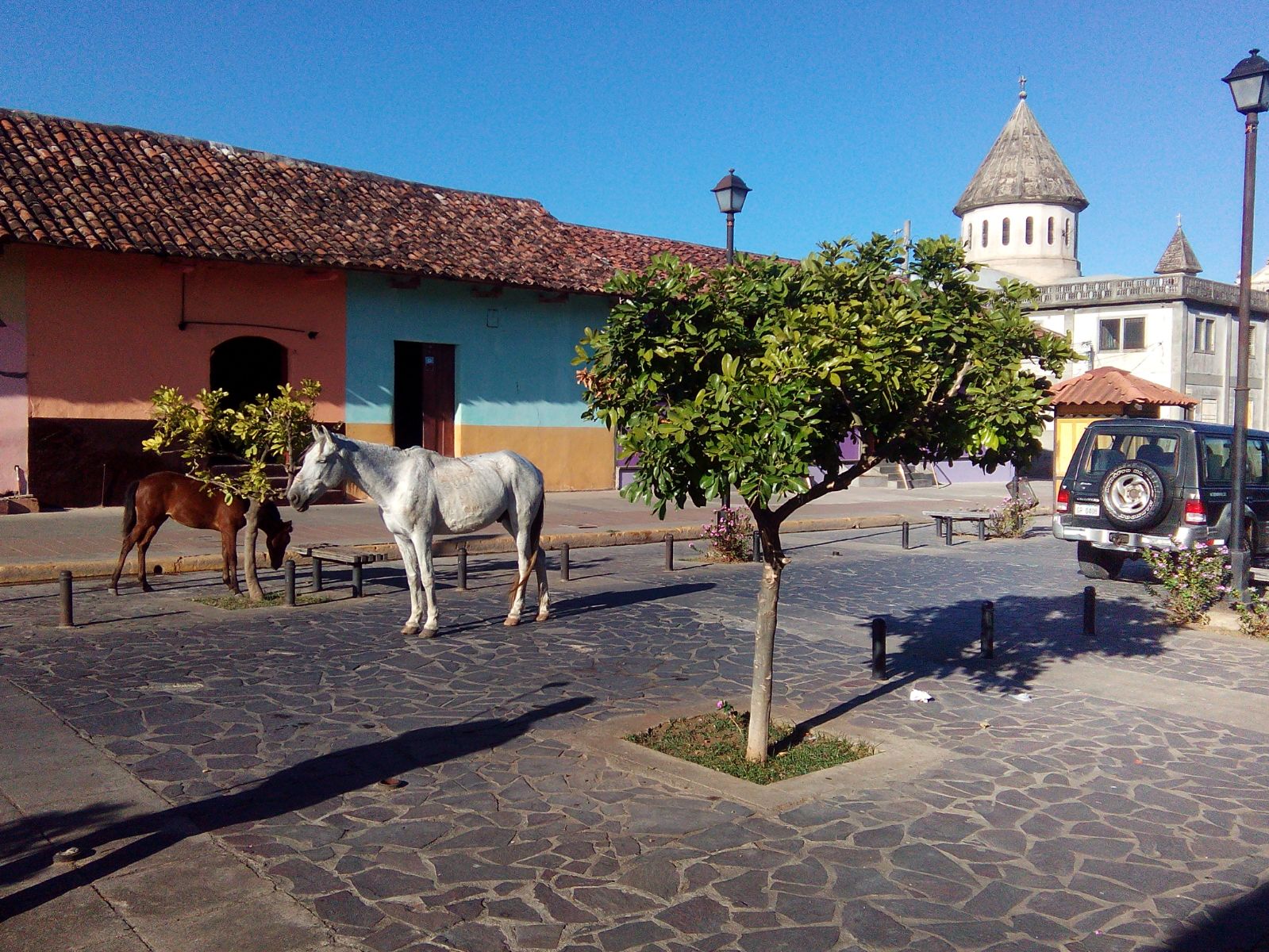 Nature Air lo lleva a disfrutar de Nicaragua