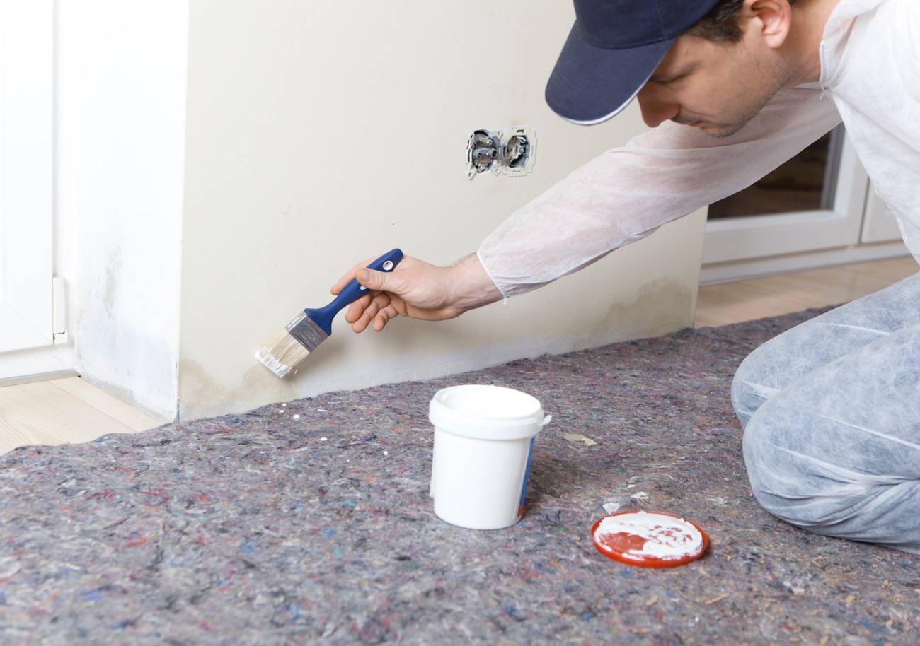 Evite problemas de salud y estructurales ocasionados por el moho