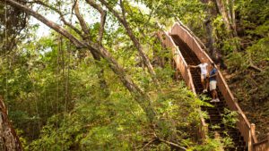 El camino pura vida para lograr un estilo de vida más prolongado, feliz y saludable.