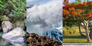 Este proyecto cumple 15 años con el firme compromiso de contribuir a un mundo mejor al educar sobre la conservación de los recursos naturales.