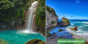 Ford otorgará un total de US$50,000 para apoyar a individuos y organizaciones sin fines de lucro.