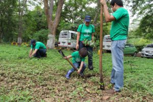 Los colaboradores de Casa Pellas ya se están preparando para el gustado concurso anual “EcoArte”.