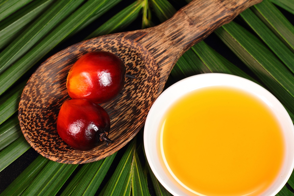 Aceite de palma, un alimento saludable desde hace miles de años