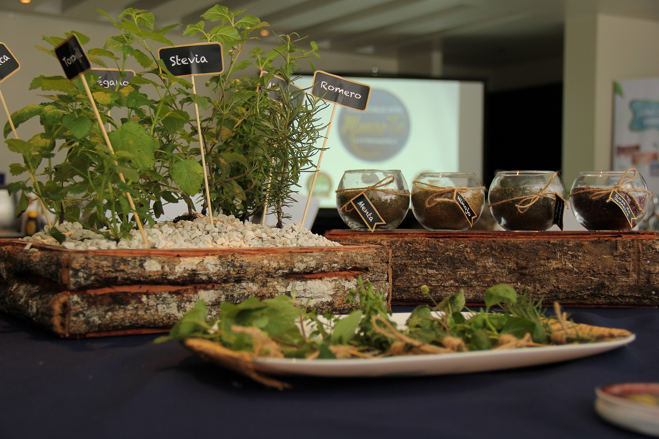 Corporación Manza Té obtiene Marca País