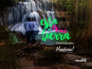 Hay cinco categorías con las que pueden participar.