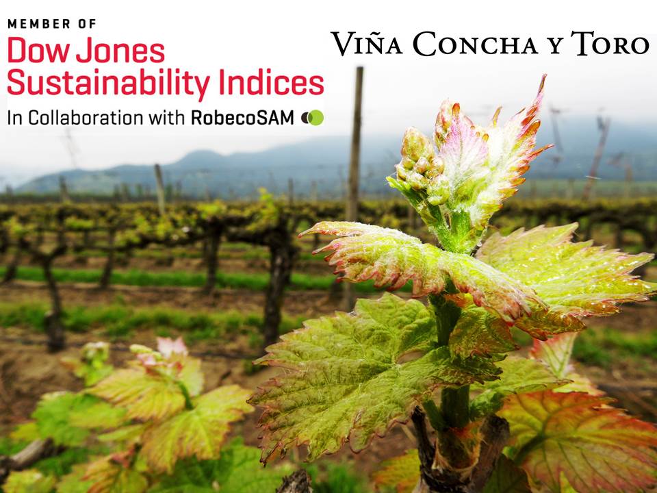 Viña Concha y Toro, única compañía vitivinícola en integrar el Índice de Sustentabilidad de Dow Jones 2016