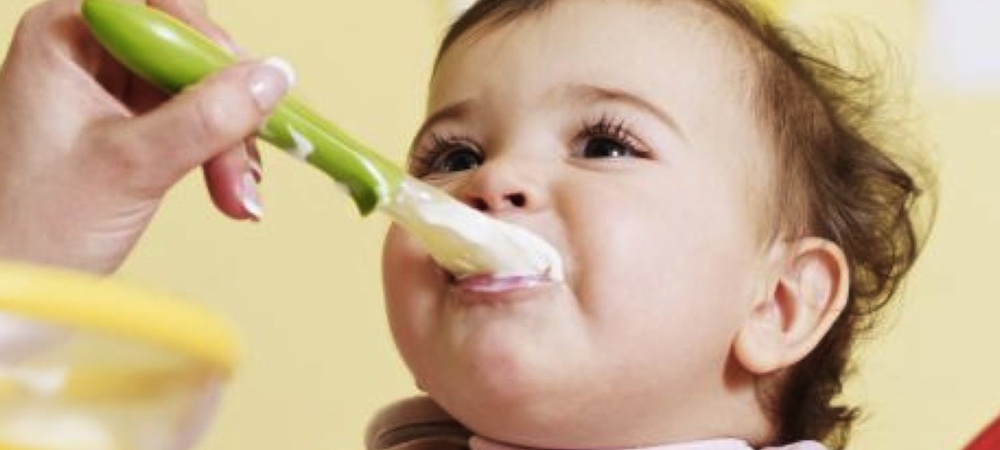 ¿Qué debe comer el niño en su primer año de vida?