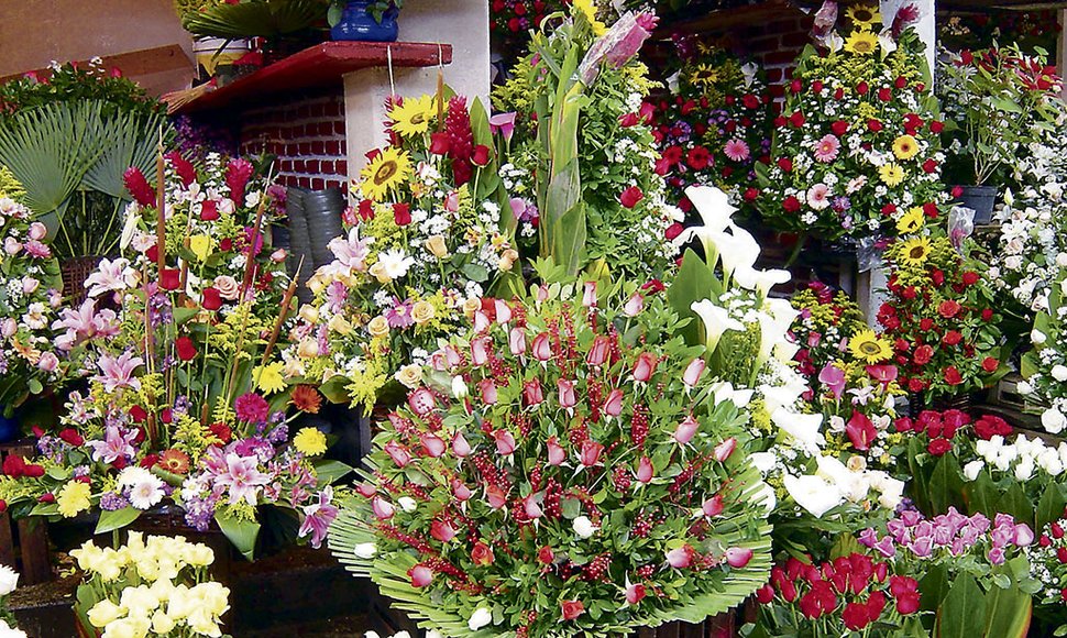 Importación de flores costarricenses aumenta en más de 100%
