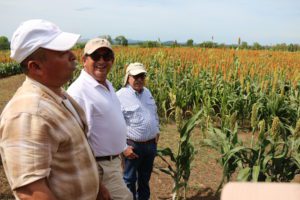 Las fincas visitadas fueron San Francisco, El Pentágono y San Isidro del departamento de Chinandega.