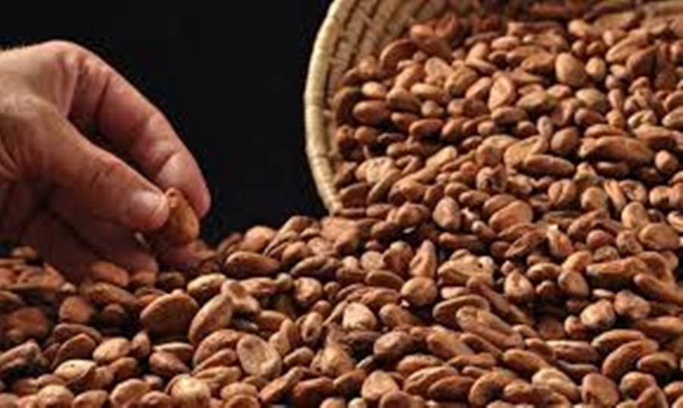 Chocolate de cacao de Nicaragua recibe premio