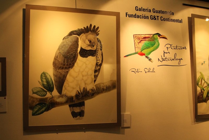 Exposición “Pinturas por Naturaleza” en Guatemala