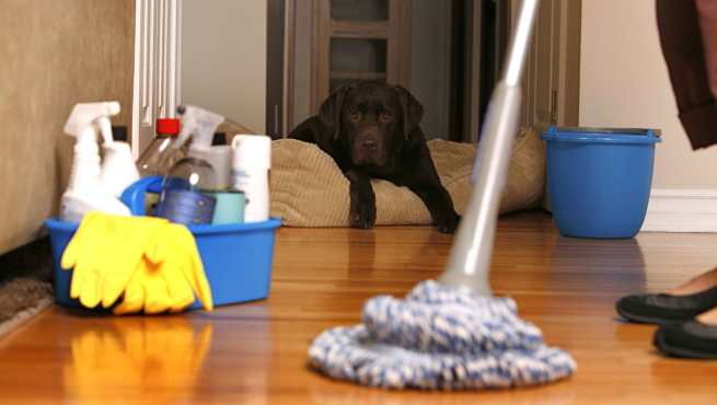 La limpieza del hogar requiere precauciones