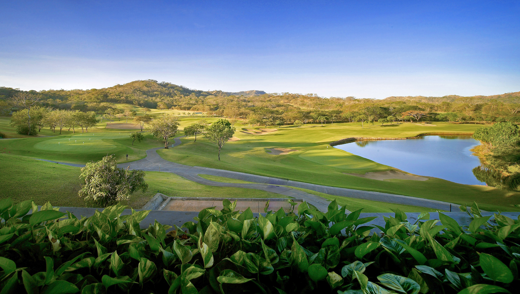 Westin Playa Conchal es el mejor hotel de lujo con  campo de golf en Costa Rica