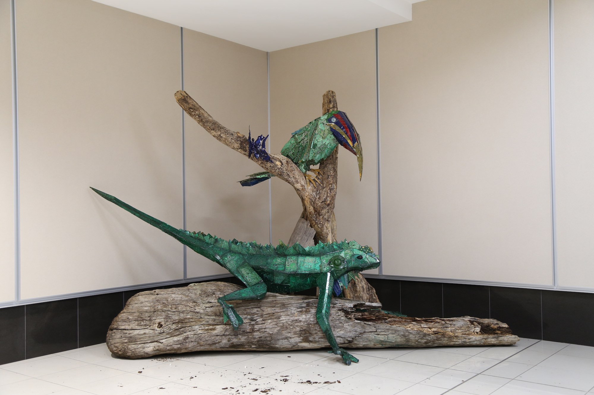 Exhibición en el Aeropuerto Juan Santamaría seduce a viajeros con fotografías y esculturas de Costa Rica