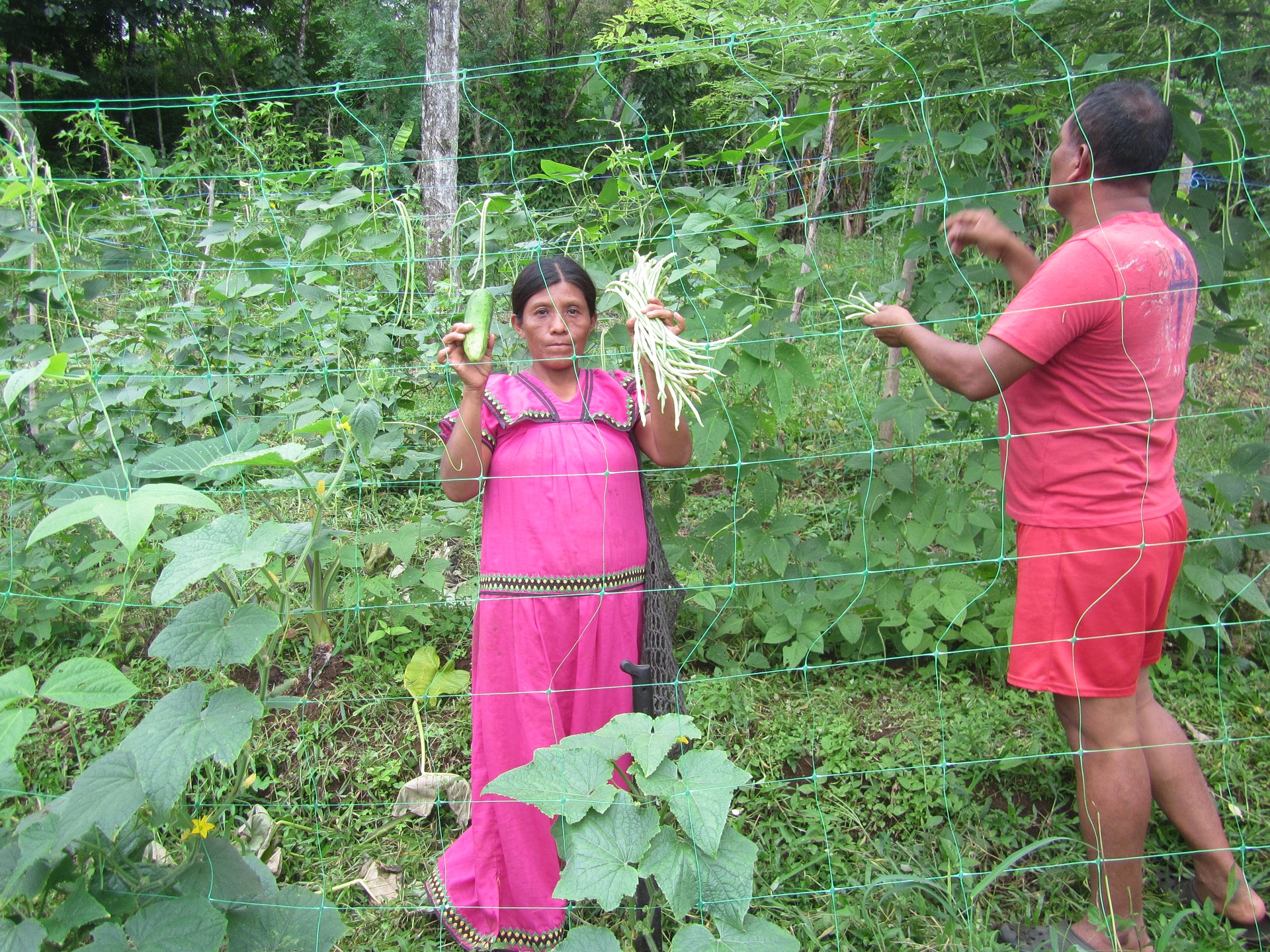 Inicia la convocatoria para programa Donativos Ambientales Ford 2017
