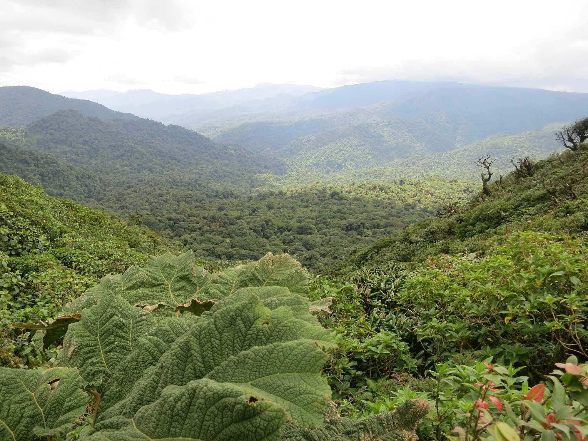 Costa Rica sede del IV Seminario Anual del Fondo de Adaptación al Cambio Climático