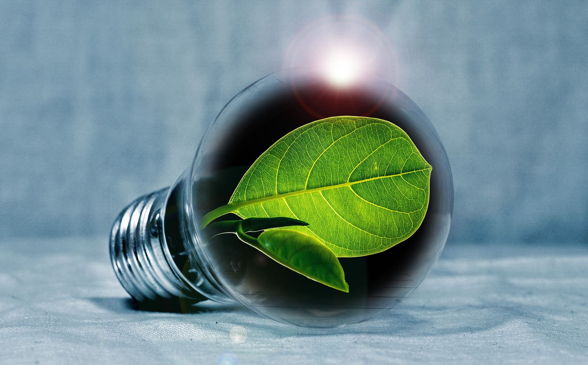 Tres tips para ahorrar hasta 83% en el consumo de electricidad