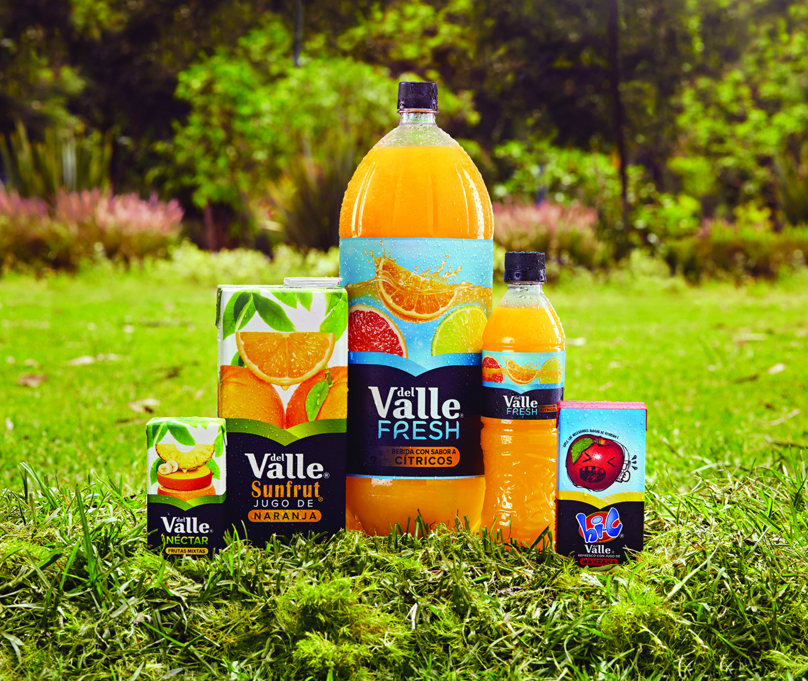 Del Valle implementa Estrategia de Marca Única