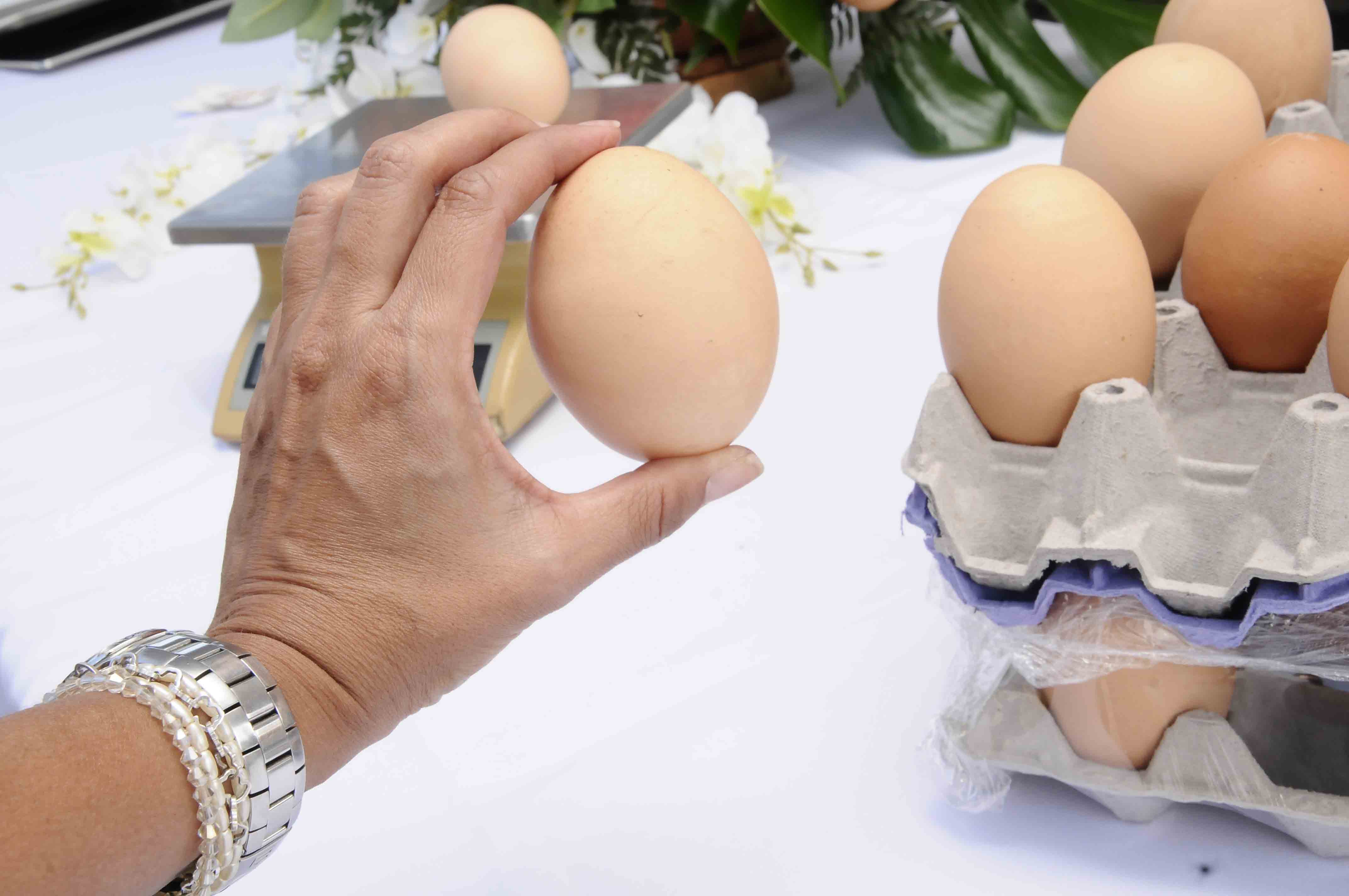 Día Mundial del Huevo invitará a más de 3.000 personas a degustar tortas de huevo