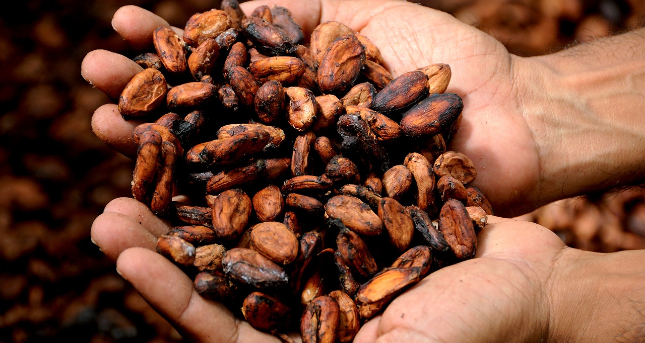 31 chocolaterías en Europa venden cacao salvadoreño