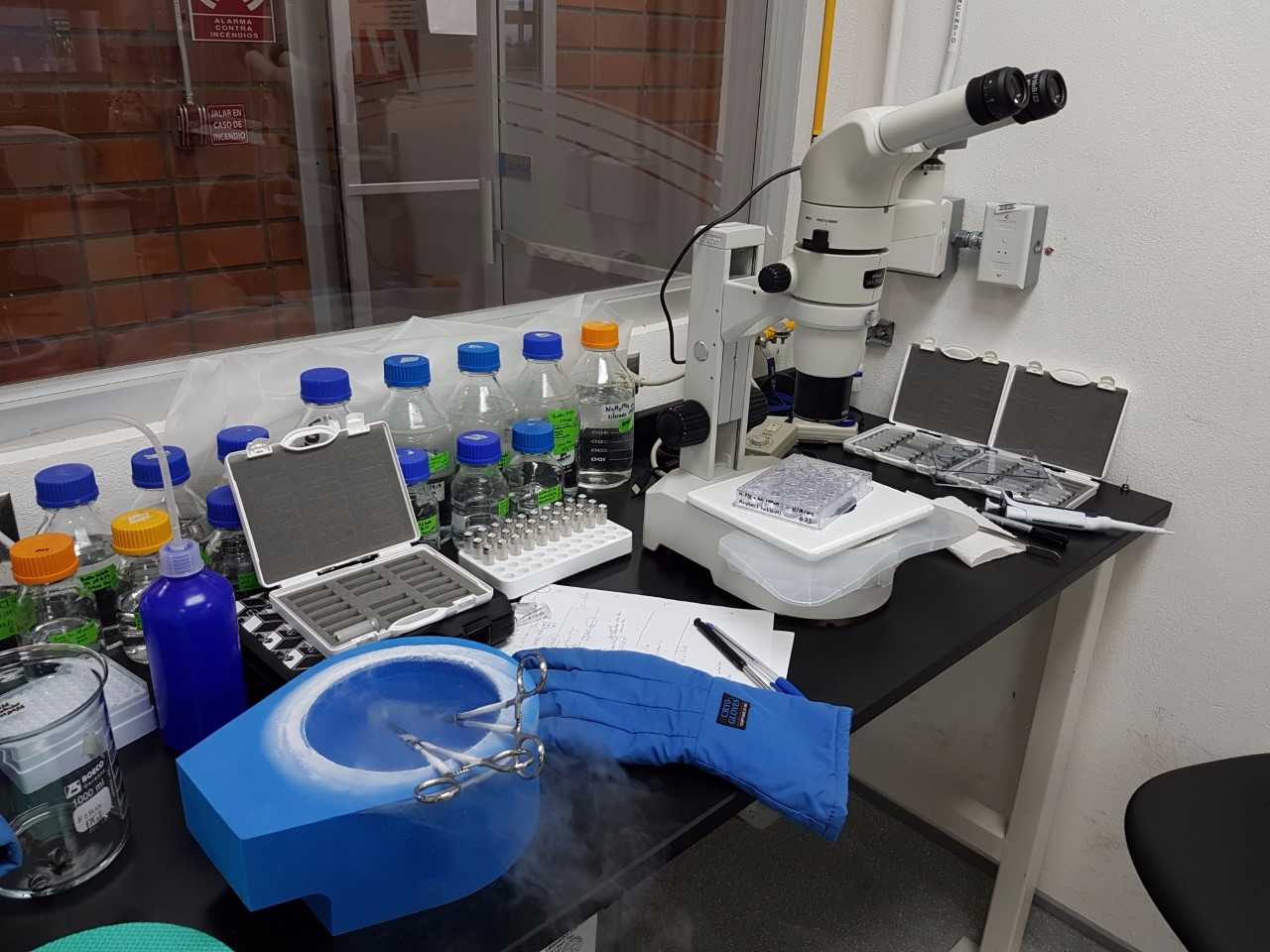 TEC crea técnicas para comprender cómo se forman los coágulos que causan infartos y accidentes cerebrovasculares