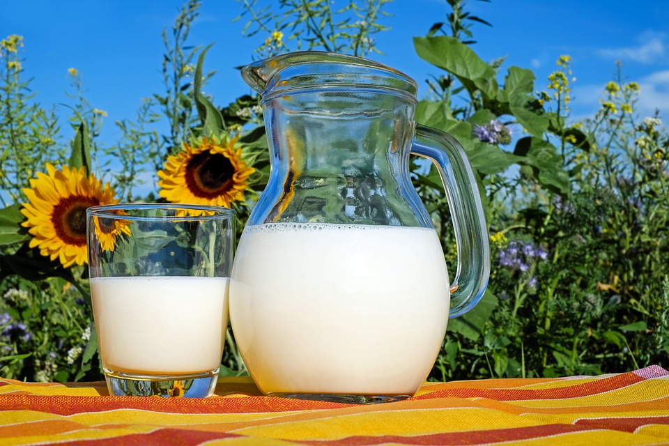 Consumo de lácteos podría beneficiar la salud mental