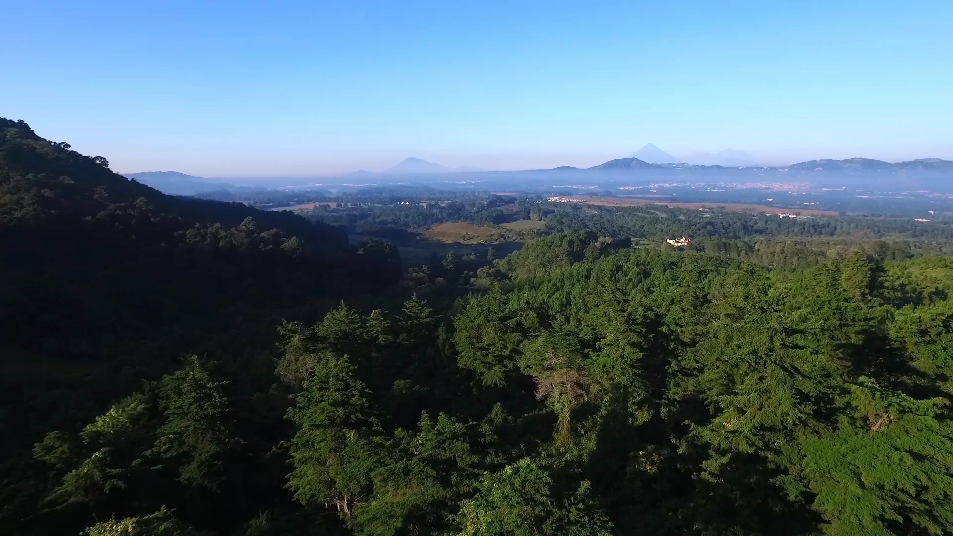 INAB reconoce a Finca Agua Tibia por su exitosa experiencia en el manejo forestal