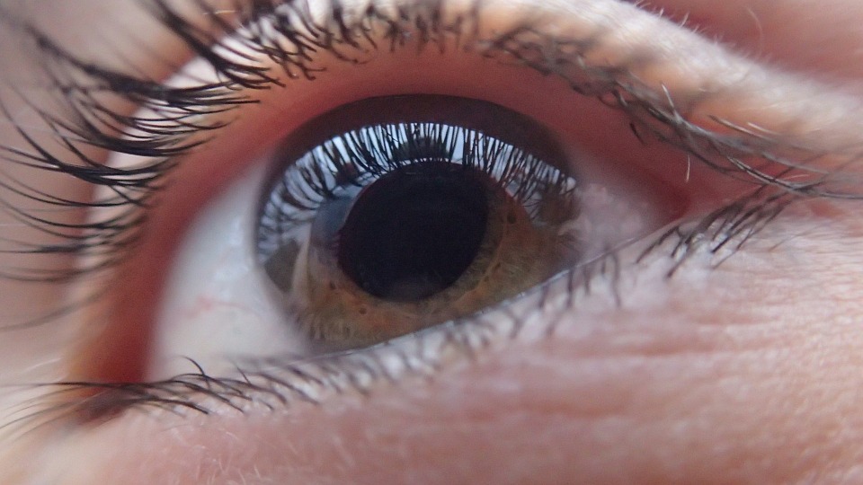 El glaucoma es una de las principales causas de ceguera en el mundo