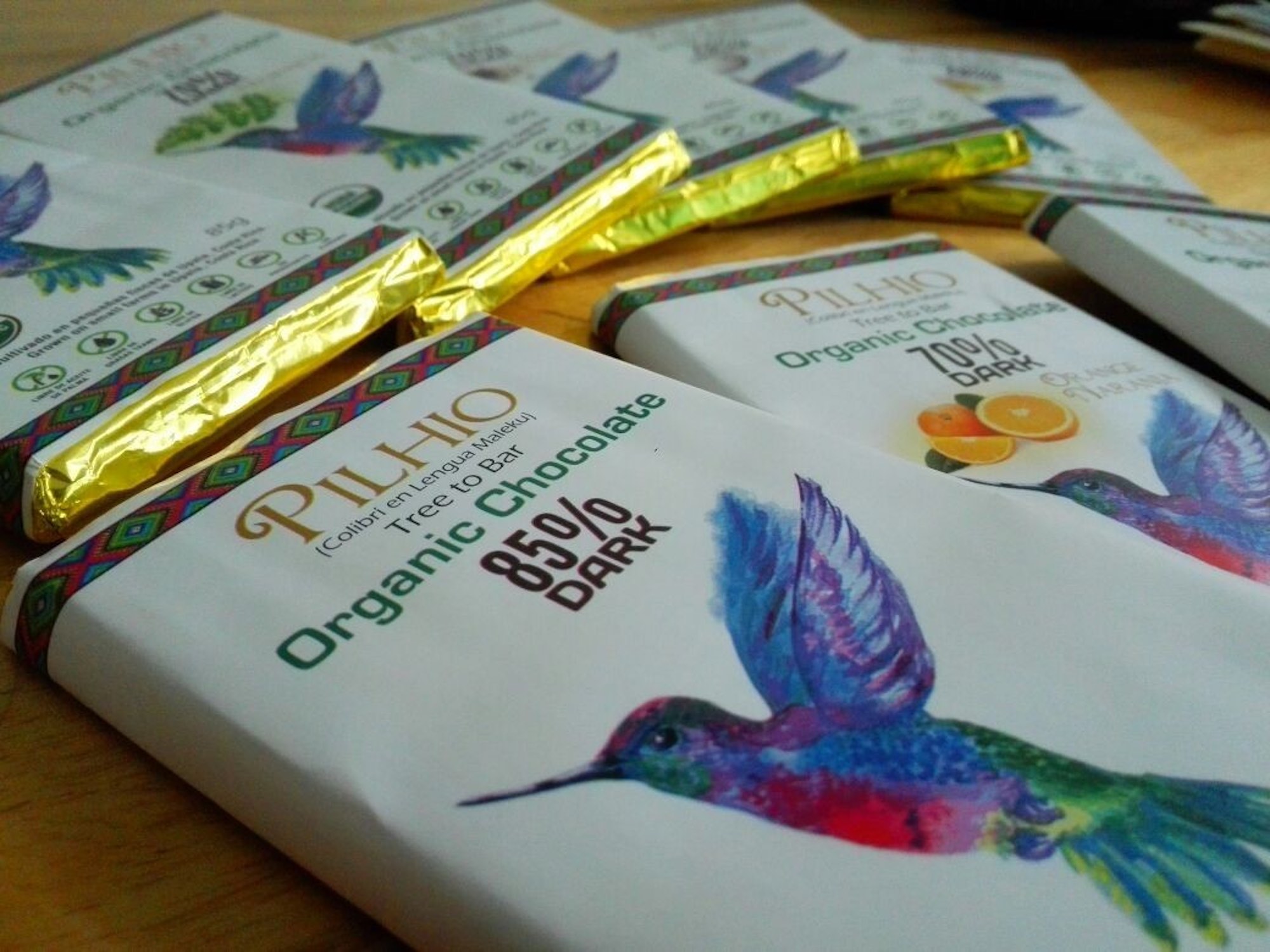 Un colibrí de Upala inspira el negocio del chocolate orgánico