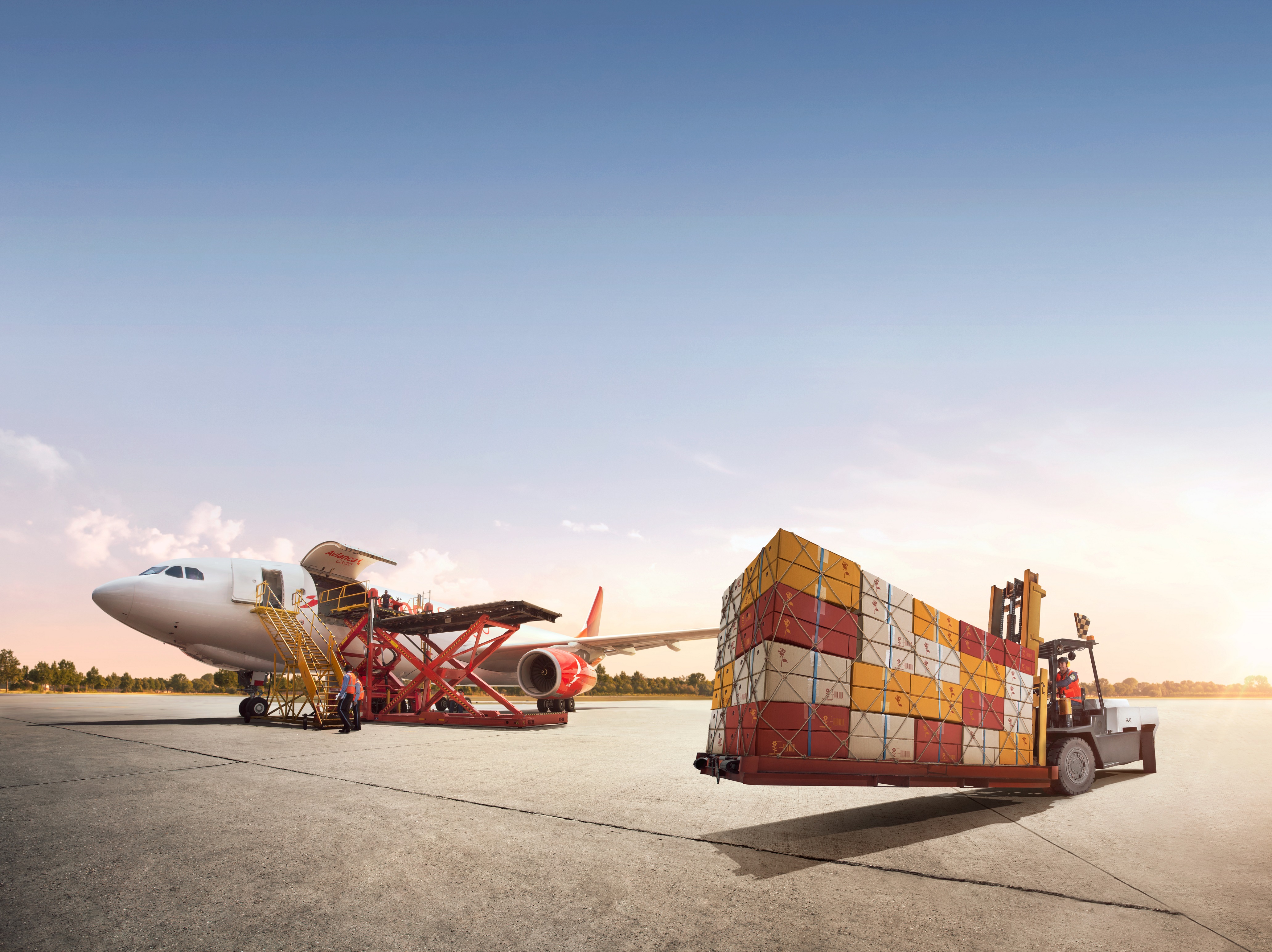 Avianca Cargo transportó más de 11.853 toneladas de flores para San Valentín