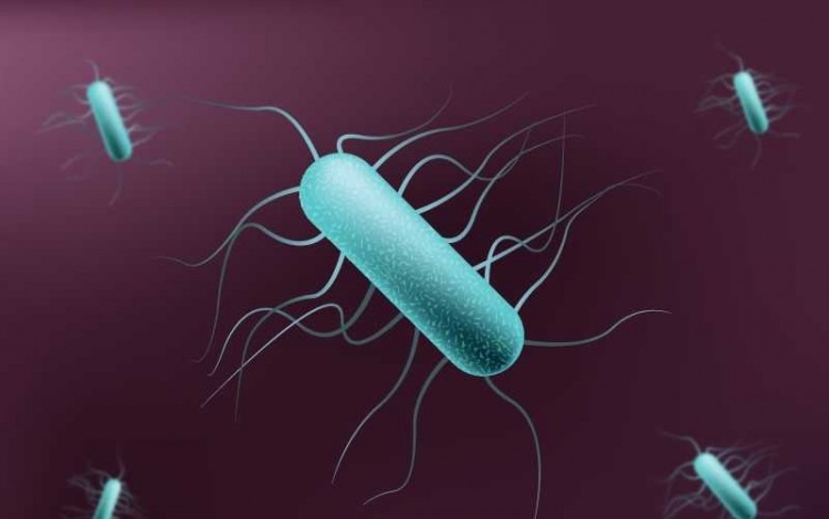 Científicos del TEC descubren nueva bacteria