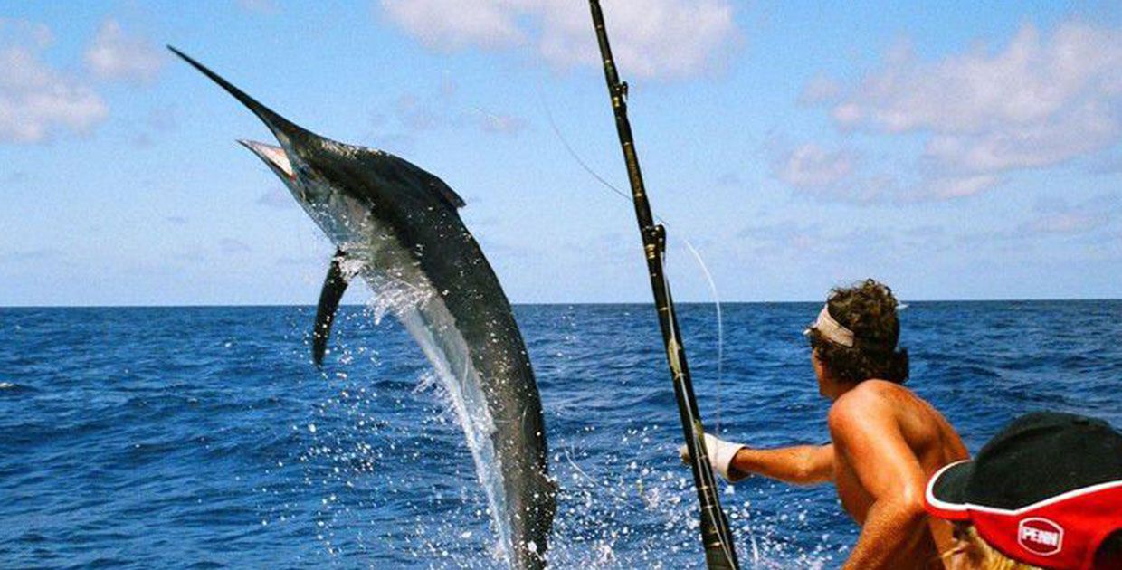 Marina Pez Vela será escenario del Quepos Billfish Cup