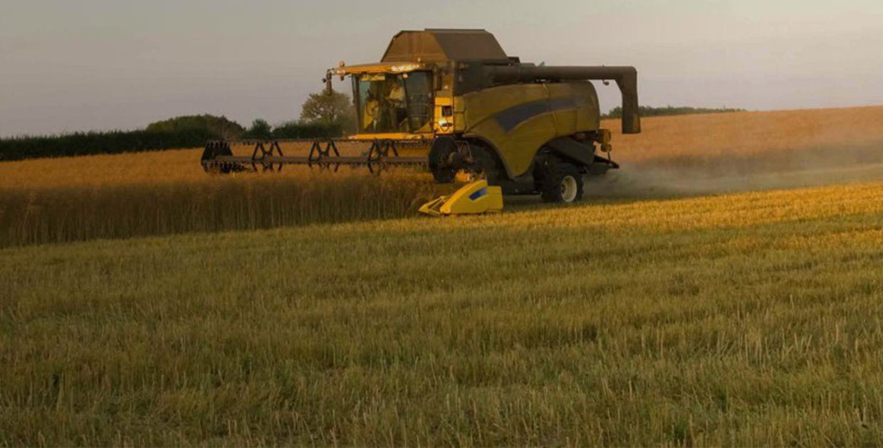 SAP ayuda a potenciar el rendimiento agrícola para satisfacer la demanda de alimentos del futuro