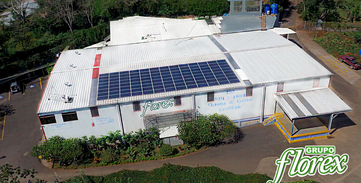 Florex aumentó su producción alrededor del 8,1% entre el 2016 y el 2017