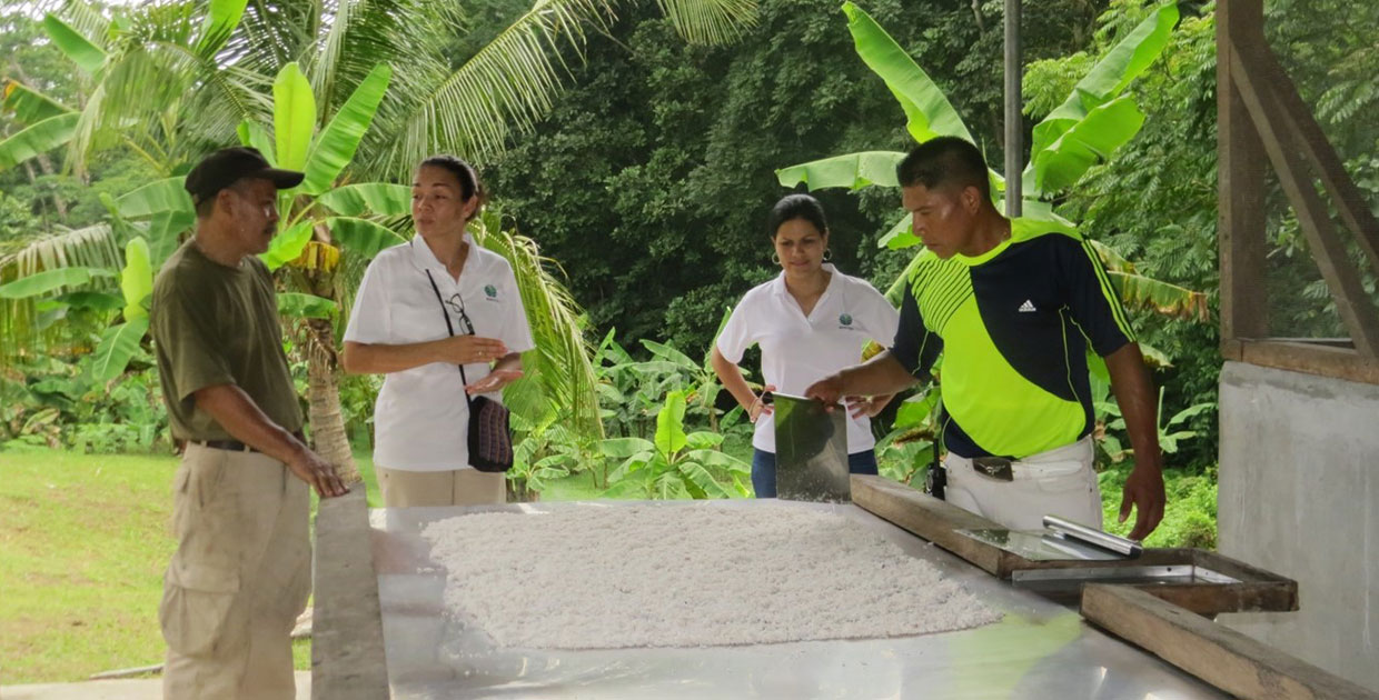 Ford continúa impulsando la sustentabilidad